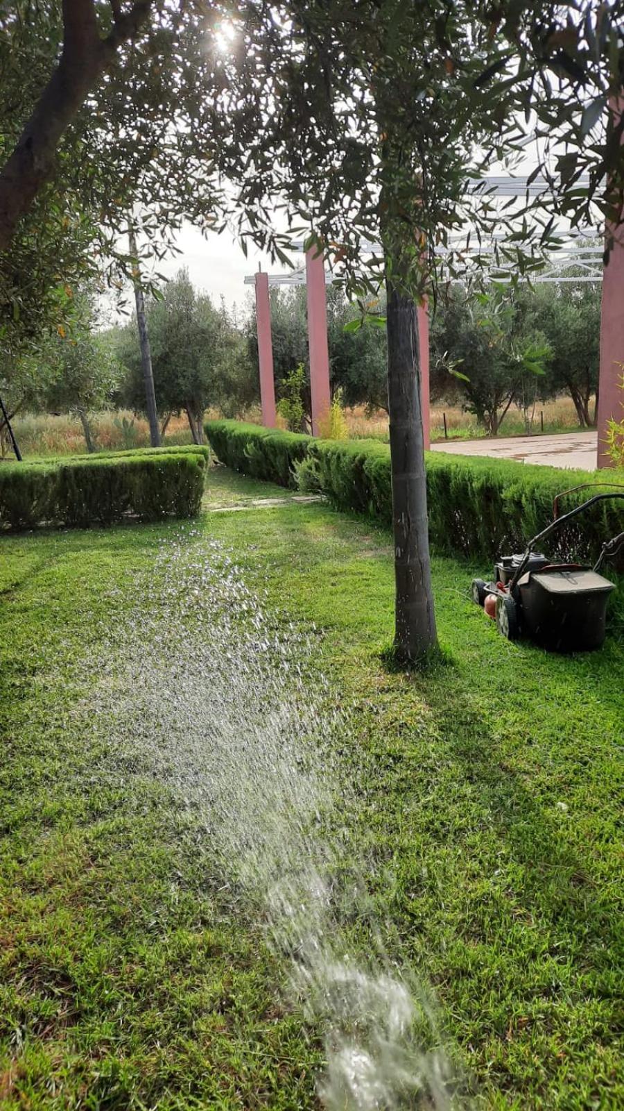 Maison D'Hotes La Ferme Aziza Fez Bagian luar foto