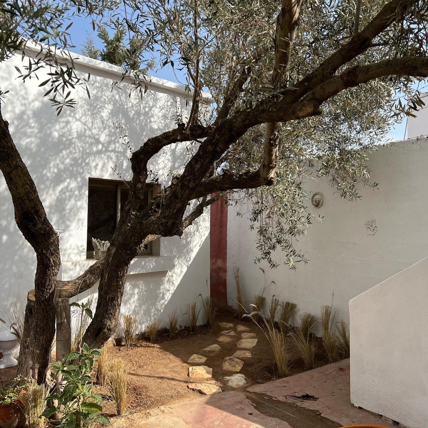 Maison D'Hotes La Ferme Aziza Fez Bagian luar foto